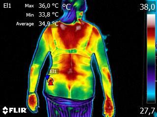 Habilitação na Técnica Termofuncional